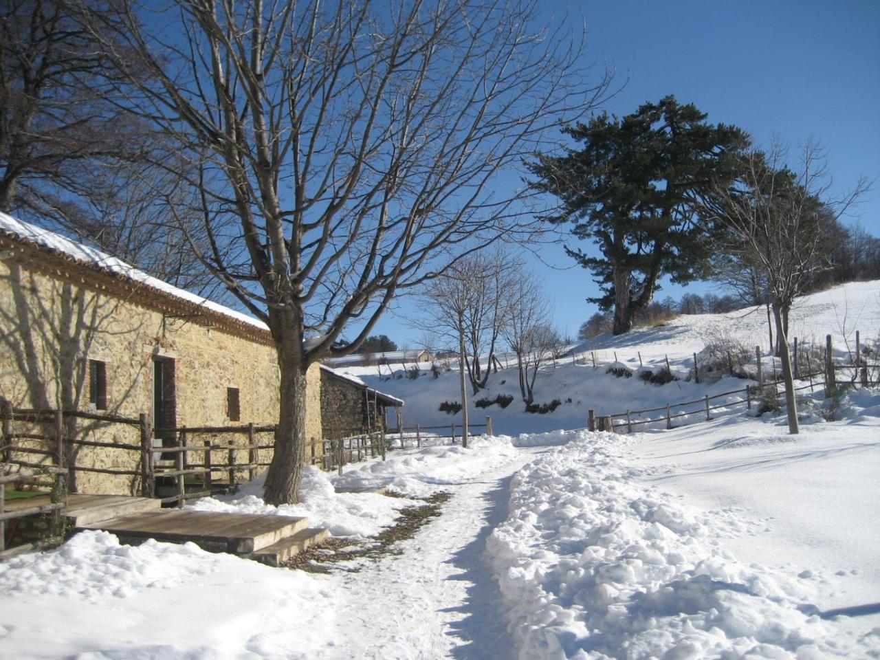 Hotel Torre Camigliati Dimora Storica Camigliatello Silano Exterior foto